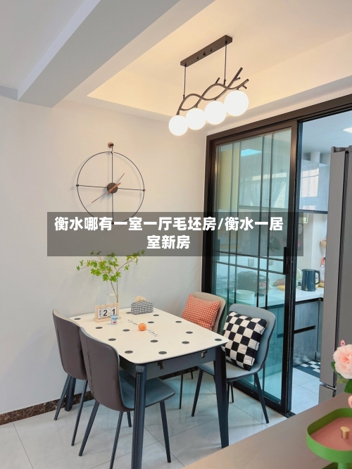 衡水哪有一室一厅毛坯房/衡水一居室新房-第3张图片
