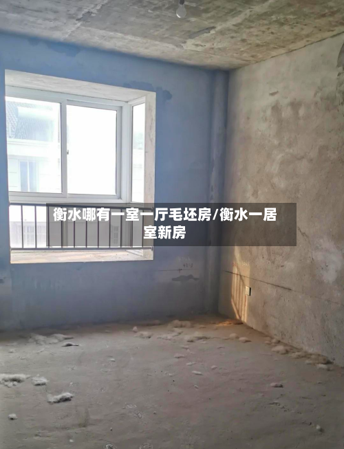 衡水哪有一室一厅毛坯房/衡水一居室新房
