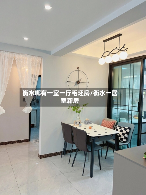 衡水哪有一室一厅毛坯房/衡水一居室新房-第2张图片