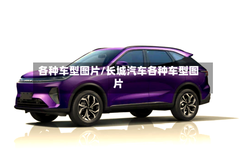 各种车型图片/长城汽车各种车型图片