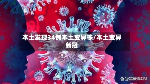 本土发现34例本土变异株/本土变异新冠-第3张图片