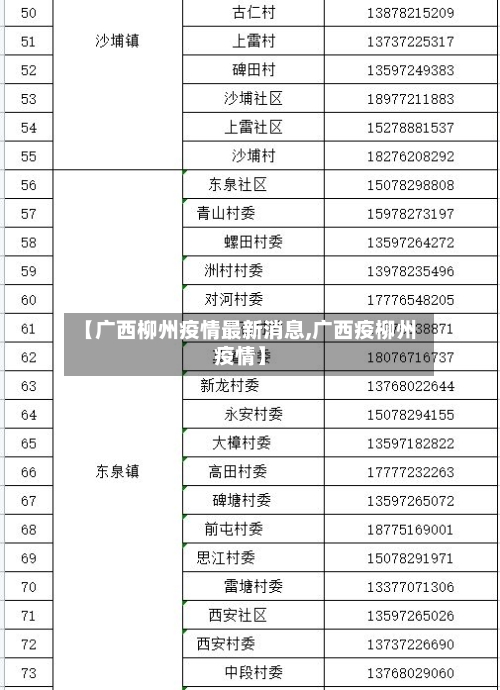 【广西柳州疫情最新消息,广西疫柳州疫情】-第2张图片