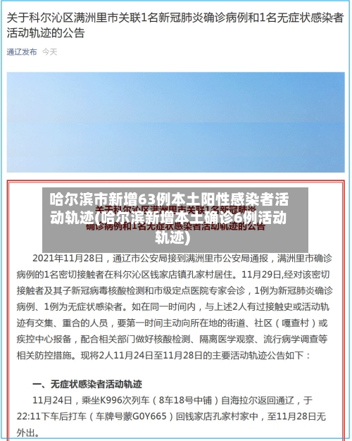 哈尔滨市新增63例本土阳性感染者活动轨迹(哈尔滨新增本土确诊6例活动轨迹)-第2张图片