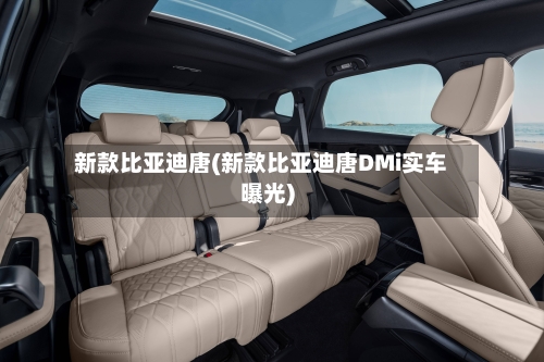 新款比亚迪唐(新款比亚迪唐DMi实车曝光)
