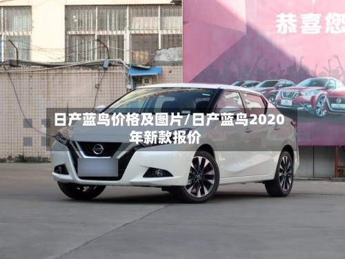 日产蓝鸟价格及图片/日产蓝鸟2020年新款报价-第2张图片