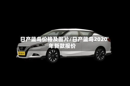 日产蓝鸟价格及图片/日产蓝鸟2020年新款报价