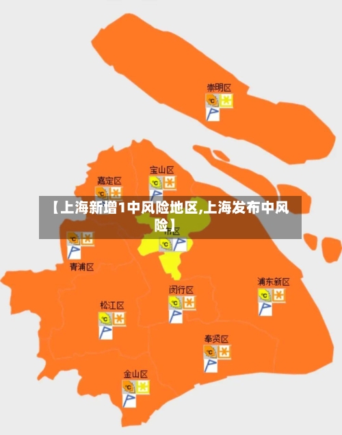 【上海新增1中风险地区,上海发布中风险】-第2张图片