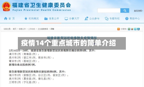 疫情14个重点城市的简单介绍
