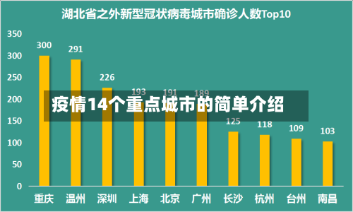 疫情14个重点城市的简单介绍-第2张图片