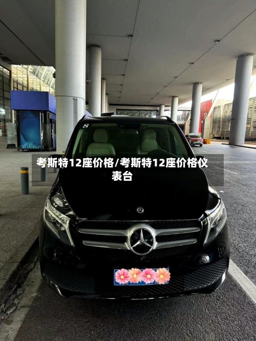考斯特12座价格/考斯特12座价格仪表台-第2张图片