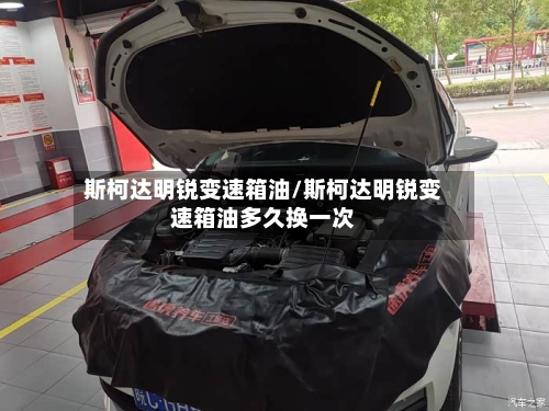 斯柯达明锐变速箱油/斯柯达明锐变速箱油多久换一次-第3张图片