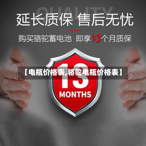 【电瓶价格表,骆驼电瓶价格表】