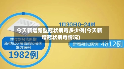 今天新增新型冠状病毒多少例(今天新增冠状病毒情况)-第2张图片
