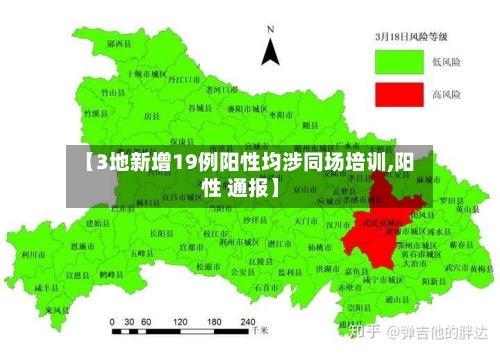 【3地新增19例阳性均涉同场培训,阳性 通报】-第2张图片