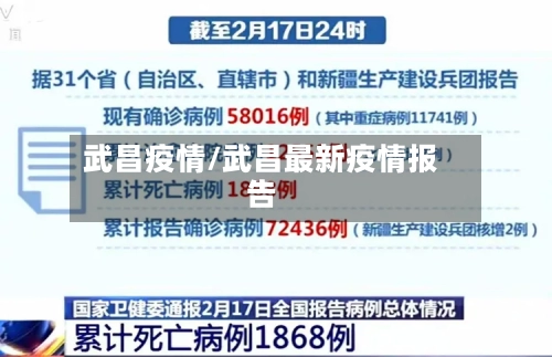 武昌疫情/武昌最新疫情报告-第2张图片