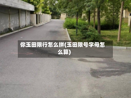 你玉田限行怎么拼(玉田限号字母怎么算)-第2张图片