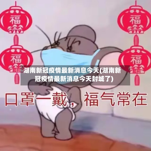 湖南新冠疫情最新消息今天(湖南新冠疫情最新消息今天封城了)-第2张图片