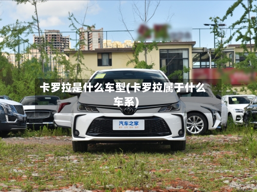 卡罗拉是什么车型(卡罗拉属于什么车系)