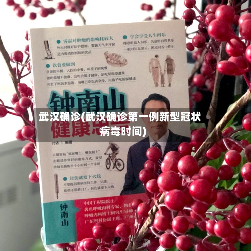 武汉确诊(武汉确诊第一例新型冠状病毒时间)
